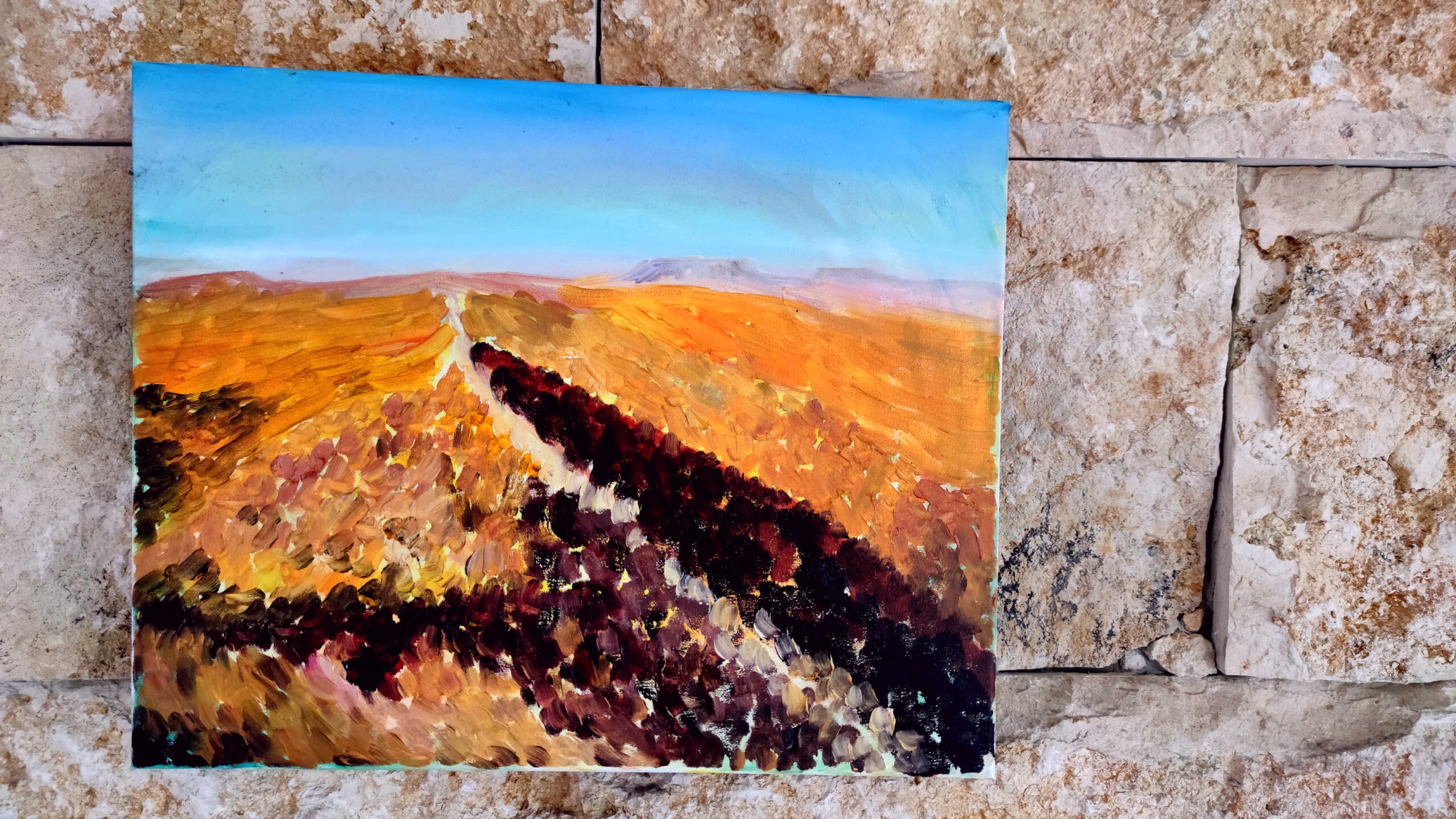 Wandern in der Wüste Negev Israel